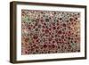 Dimension 26-Hilary Winfield-Framed Giclee Print