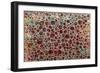 Dimension 26-Hilary Winfield-Framed Giclee Print