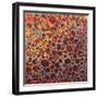 Dimension 27-Hilary Winfield-Framed Giclee Print