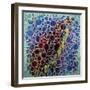 Dimension 28-Hilary Winfield-Framed Premium Giclee Print