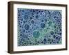 Dimension 5-Hilary Winfield-Framed Giclee Print