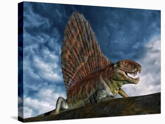 Dimetrodon Was an Extinct Genus of Synapsid from Th Early Permian Period-null-Stretched Canvas