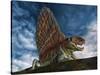 Dimetrodon Was an Extinct Genus of Synapsid from Th Early Permian Period-null-Stretched Canvas