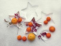 Still life with a lunaria and snails-Dimitar Lazarov --Photographic Print