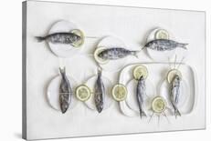 Still Life With Fish-Dimitar Lazarov-Stretched Canvas