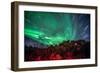 Dimmuborgir Lava Formation Northern Lights Akureyri North Iceland Europe-Renato Granieri-Framed Photographic Print