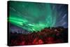 Dimmuborgir Lava Formation Northern Lights Akureyri North Iceland Europe-Renato Granieri-Stretched Canvas