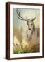 Brown Frame