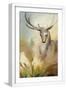 White Frame