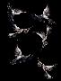 Just the Print