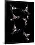 Gramercy Black