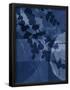 Essential Black