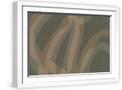 White Frame
