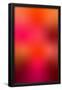 Essential Black