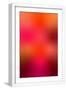 White Frame