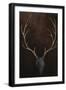 Black Frame