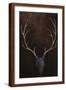 Brown Frame