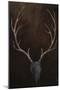 Wood Mount