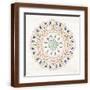Brown Frame