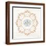 Brown Frame