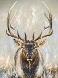 Imperial Bull Elk-Dina Perejogina-Mounted Art Print