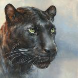 Jaguar Presence-Dina Perejogina-Framed Art Print