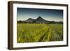 Dinalupihan-Michael De Guzman-Framed Photographic Print