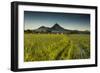 Dinalupihan-Michael De Guzman-Framed Photographic Print