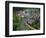 Dinan, Cotes D'Armor, Britanny, France-Peter Groenendijk-Framed Photographic Print