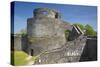 Dinefwr Castle, Llandeilo, Carmarthenshire, Wales, United Kingdom, Europe-Billy Stock-Stretched Canvas
