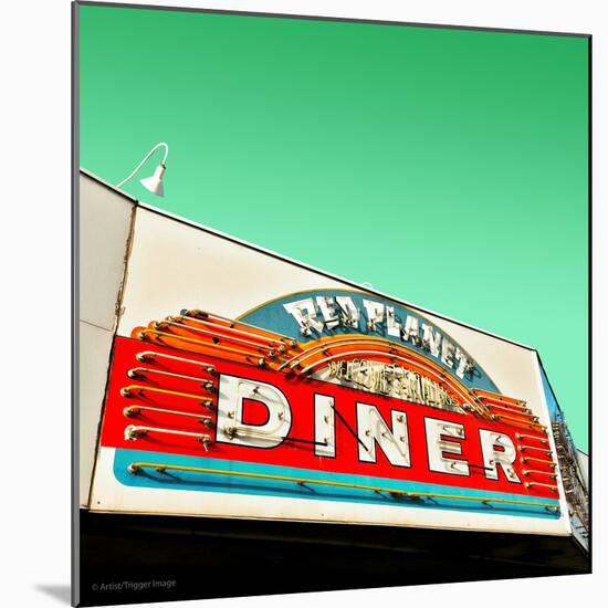 Diner Neon Retro Sign in America-Salvatore Elia-Mounted Photographic Print