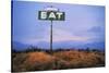 Diner Sign in Mojave Desert-Paul Souders-Stretched Canvas