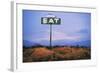 Diner Sign in Mojave Desert-Paul Souders-Framed Photographic Print