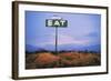 Diner Sign in Mojave Desert-Paul Souders-Framed Photographic Print