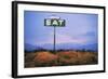 Diner Sign in Mojave Desert-Paul Souders-Framed Photographic Print