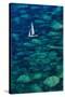 Dinghy off Bonifacio-Jon Hicks-Stretched Canvas