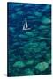 Dinghy off Bonifacio-Jon Hicks-Stretched Canvas