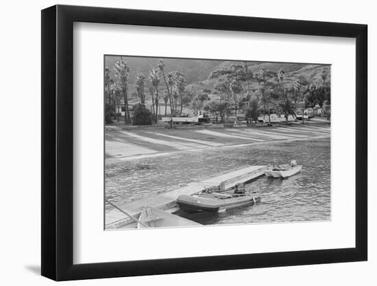 Dinghy Tied to Pier at Isthmus Cove-null-Framed Photographic Print