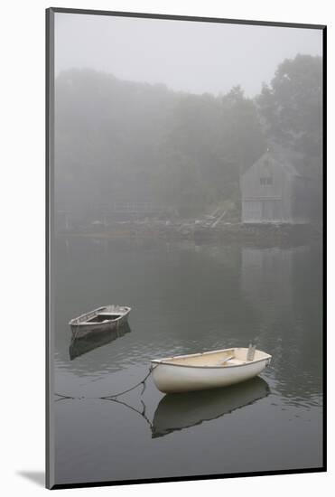 Dinghys and Boathouse in Fog, New Harbor, Maine, USA-Lynn M^ Stone-Mounted Photographic Print