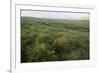 Dingle Peninsula, County Kerry, Munster, Republic of Ireland (Eire)-Colin Brynn-Framed Photographic Print