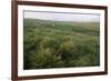 Dingle Peninsula, County Kerry, Munster, Republic of Ireland (Eire)-Colin Brynn-Framed Photographic Print