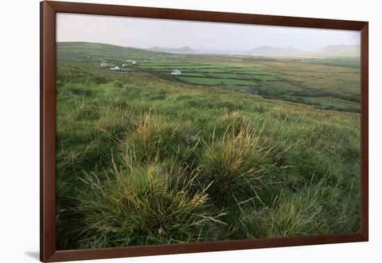 Dingle Peninsula, County Kerry, Munster, Republic of Ireland (Eire)-Colin Brynn-Framed Photographic Print