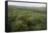 Dingle Peninsula, County Kerry, Munster, Republic of Ireland (Eire)-Colin Brynn-Framed Stretched Canvas