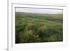 Dingle Peninsula, County Kerry, Munster, Republic of Ireland (Eire)-Colin Brynn-Framed Photographic Print