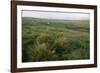 Dingle Peninsula, County Kerry, Munster, Republic of Ireland (Eire)-Colin Brynn-Framed Photographic Print