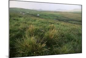 Dingle Peninsula, County Kerry, Munster, Republic of Ireland (Eire)-Colin Brynn-Mounted Photographic Print