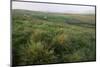 Dingle Peninsula, County Kerry, Munster, Republic of Ireland (Eire)-Colin Brynn-Mounted Photographic Print