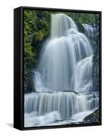 Dingman's Falls and Forest, Dingman's Ferry, Pennsylvania, Usa-Jay O'brien-Framed Stretched Canvas