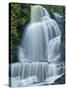 Dingman's Falls and Forest, Dingman's Ferry, Pennsylvania, Usa-Jay O'brien-Stretched Canvas