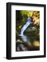 Dingmans Fall Early Autumn Scenic, Pennsylvania-George Oze-Framed Photographic Print